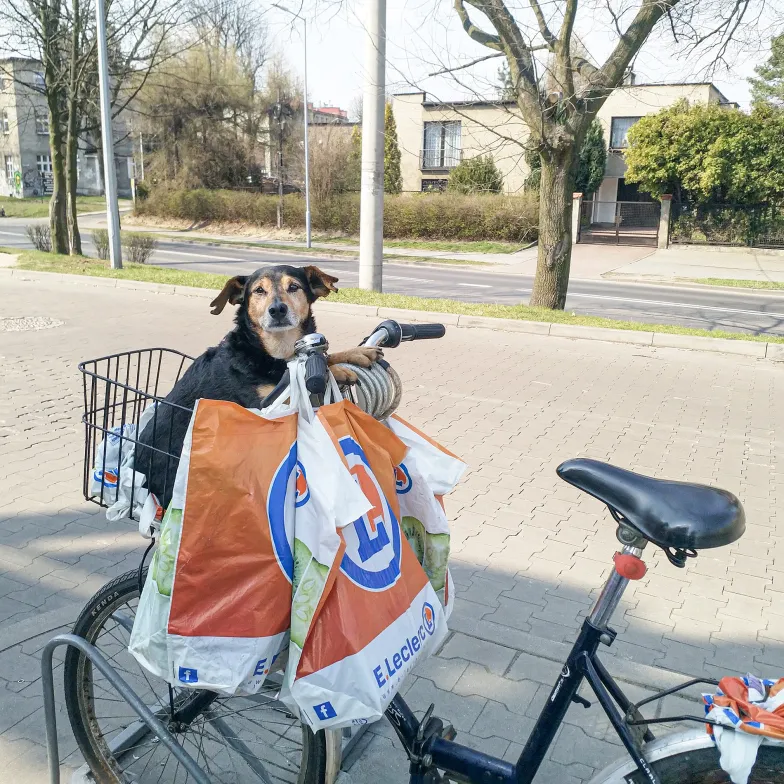 Rozważny cyklista // Fot. Olga Drenda