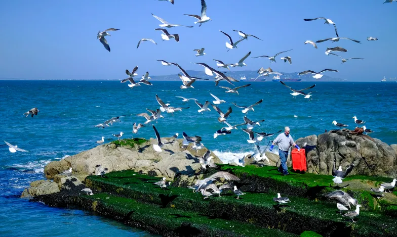 Dalkey. Irlandia, maj 2017 r. // Fot. Clodagh Kilcoyne / Reuters / Forum Dalkey. Irlandia, maj 2017 r. // Fot. Clodagh Kilcoyne / Reuters / Forum