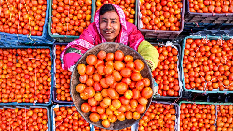 Sortownia pomidorów na targu w Dhunat Upazila w Bangladeszu. // Fot. Abdul Momin / East News