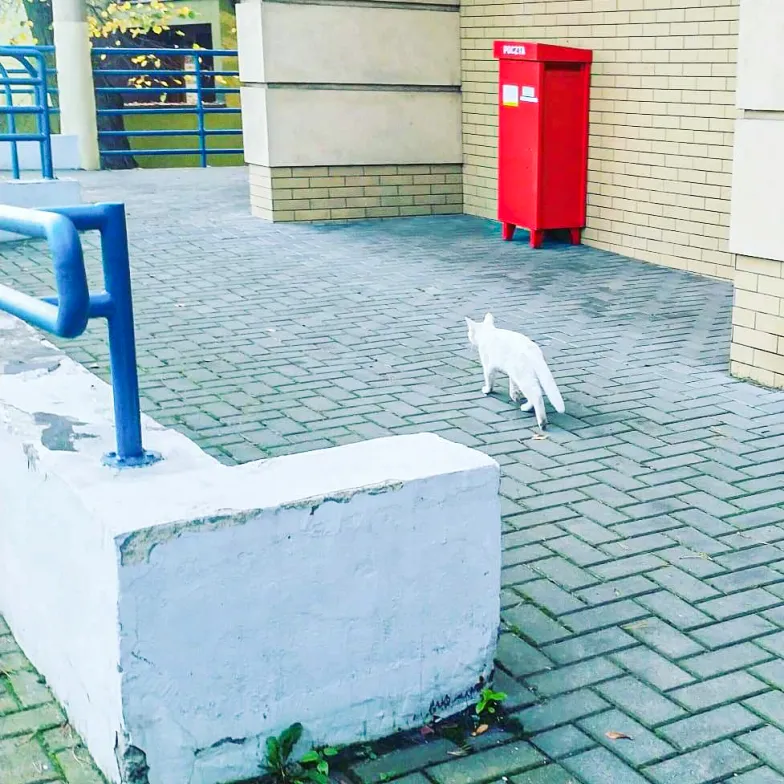 A jak wrzucał, to kucał // Fot. Olga Drenda