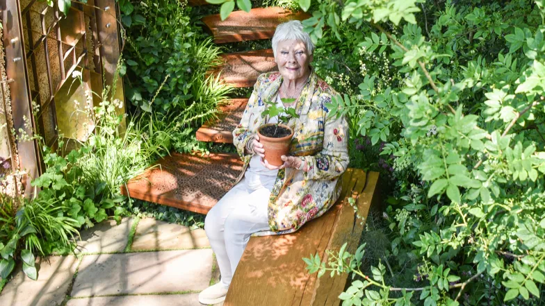 Judi Dench z sadzonką drzewa z Sycamore Gap na wystawie Chelsea Flower Show. Wielka Brytania, 20 maja 2024 r. // Fot. Wicek Sosna Judi Dench z sadzonką drzewa z Sycamore Gap na wystawie Chelsea Flower Show. Wielka Brytania, 20 maja 2024 r. // Fot. Wicek Sosna