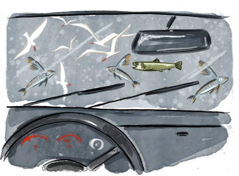 // Ilustracja: Blanka Biernat dla „TP"