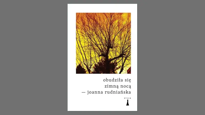 Joanna Rudniańska, "Obudziła się zimną nocą", wydawnictwo Nisza // materiały prasowe