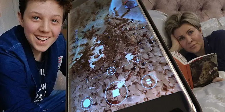 „Dom mrówek”, reż. Katarzyna Kultys // Krakowski Festiwal Filmowy