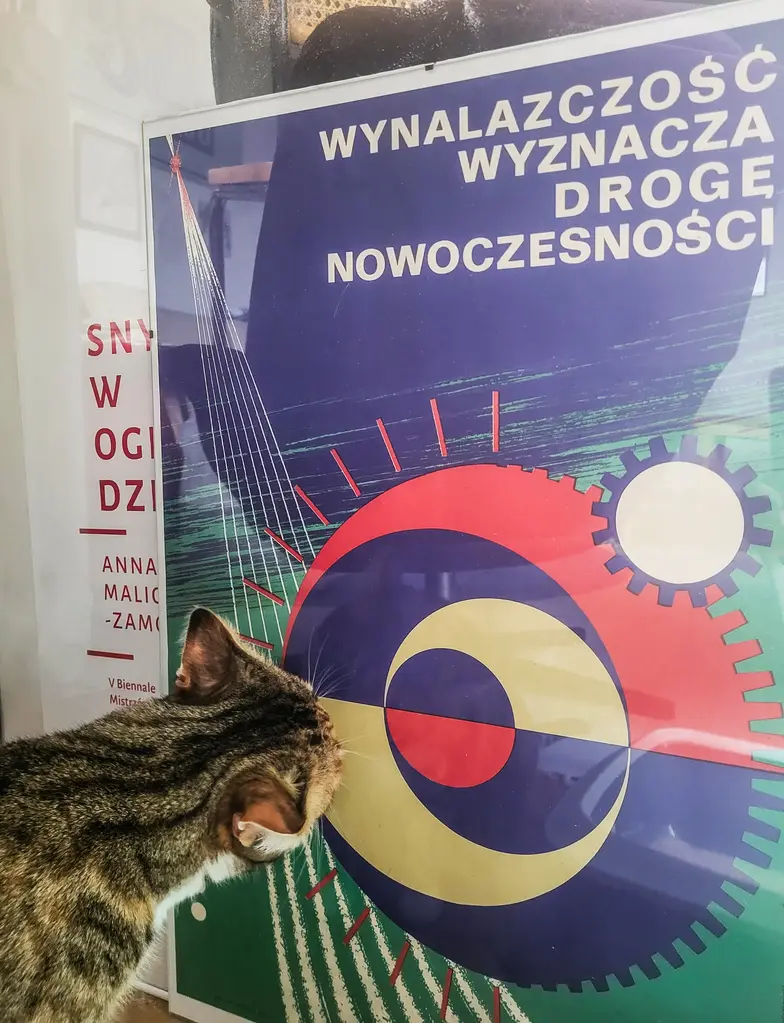 To prawda, ale wynalazczość niejedno ma imię // Fot. Olga Drenda To prawda, ale wynalazczość niejedno ma imię // Fot. Olga Drenda