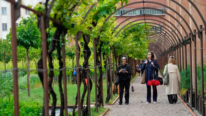 Ekspozycja „Ucho jest okiem duszy”, pawilon watykański w ogrodzie klasztoru karmelitów bosych w Cannaregio na 61. Biennale Sztuki Współczesnej w Wenecji, 6 maja 2026 r. // Fot. Luca Bruno / AP / East News Ekspozycja „Ucho jest okiem duszy”, pawilon watykański w ogrodzie klasztoru karmelitów bosych w Cannaregio na 61. Biennale Sztuki Współczesnej w Wenecji, 6 maja 2026 r. // Fot. Luca Bruno / AP / East News