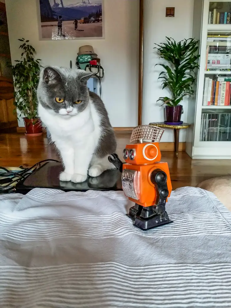Nawet tak mały robocik budzi podejrzenia // Fot. Olga Drenda