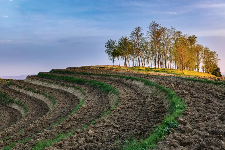 Wzgórze Madjerkin Breg w rejonie Međimurje na Chorwacji ALEN FERINA / ALAMY / BEW