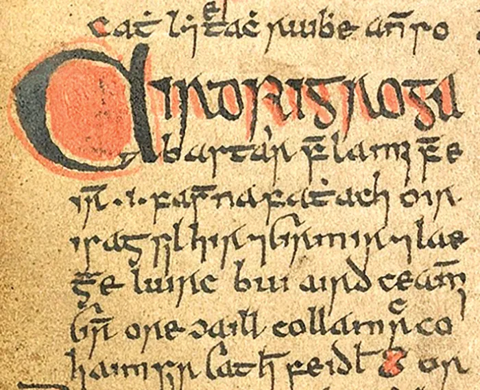 Jedyny zachowany fragment niemieckiego rękopisu „Willehalma” Wolframa von Eschenbacha. Zamek Huis Bergh, s-Heerenberg, Holandia./ Materiały prasowe