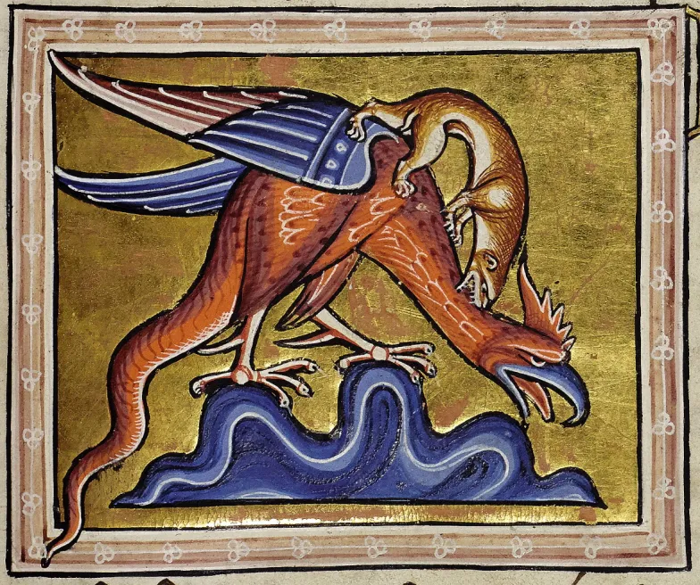 Bazyliszek i łasica, Bestiariusz z Aberdeen, ok. 1200, Aberdeen University Library MS 24 / Wikimedia