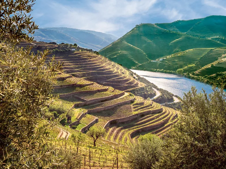 Dolina Douro, Portugalia