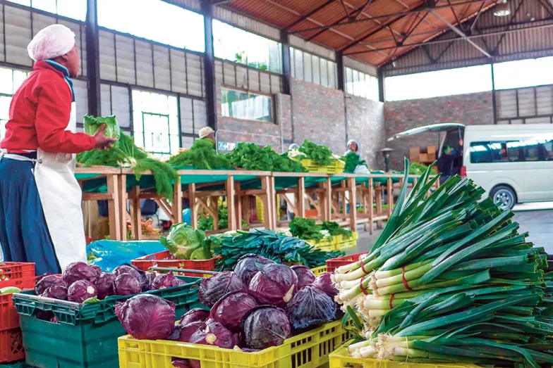 Targ warzywny organizacji Abalimi Bezekhaya, Kapsztad, wrzesień 2017 r. // TADEUSZ MICHROWSKI DLA „TP”