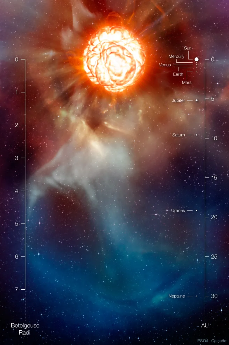 Wizualizacja Betelgezy oraz jej rozmiar w skali Układu Słonecznego / ryc. ESO, L. Calcada / NASA