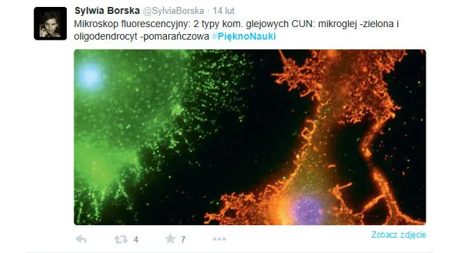 #PieknoNauki