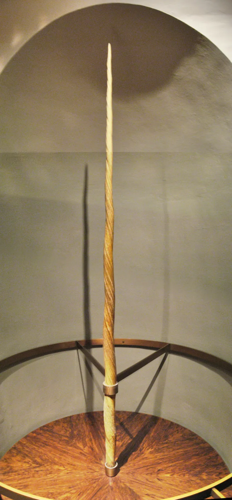 Róg "jednorożca" (narwala), dar Zygmunta Starego dla Ferdynanda I Habsburga, Kunsthistorisches Museum w Wiedniu / Wikimedia